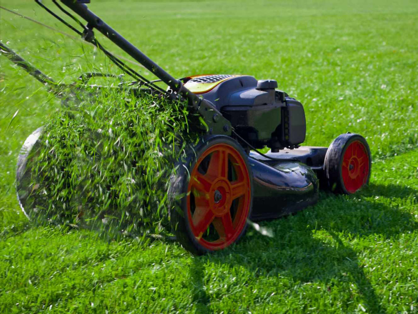 yardworks yardworks